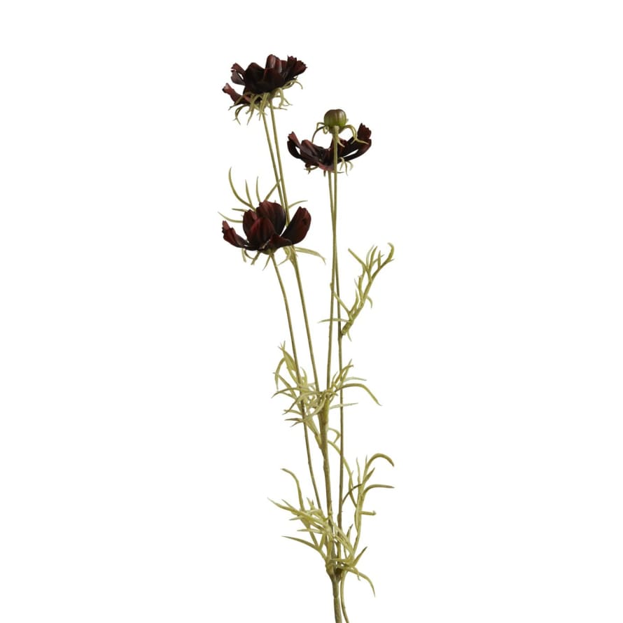 Chocolate Faux Cosmos Stem