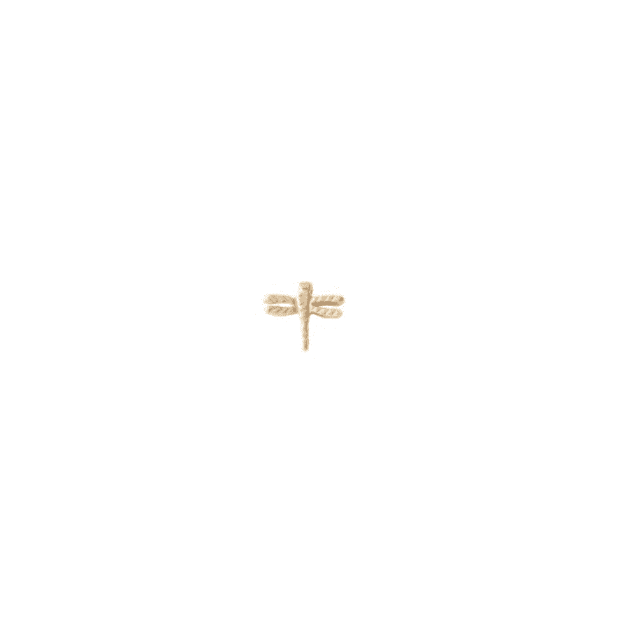 A Beautiful Story Gold Plated Silver Dragonfly Sterling Earring