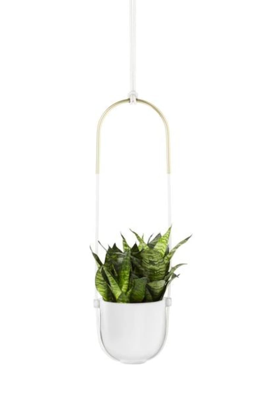 Umbra Bolo Hanging Planter White