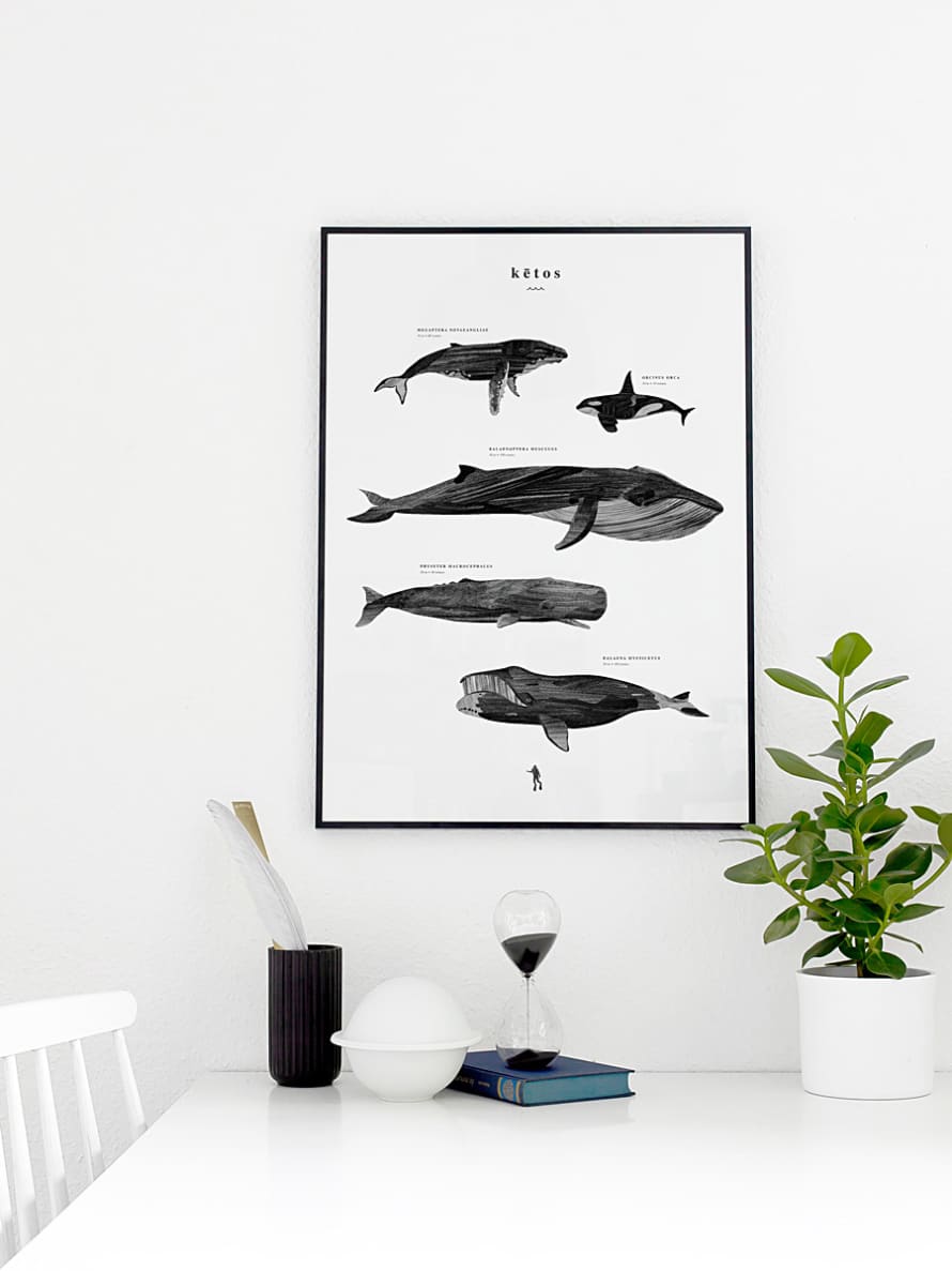 Trouva: Whales poster Ketos, black and white