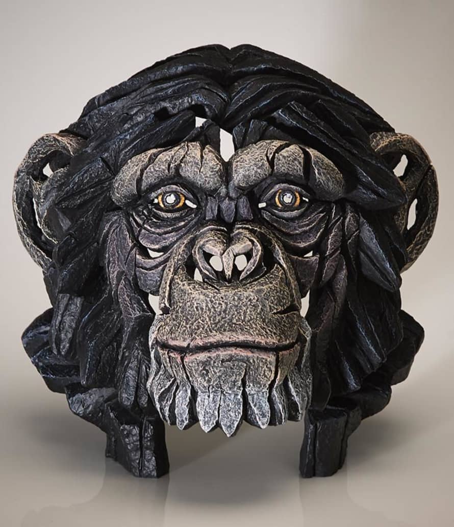 Edge Chimpanzee Bust Sculpture By Matt Buckley