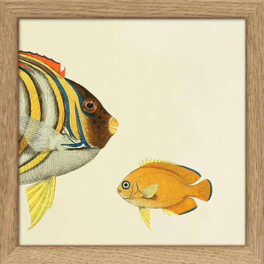 TheDybdahl Co. No SQ103 Half Fish Print with Oak Frame