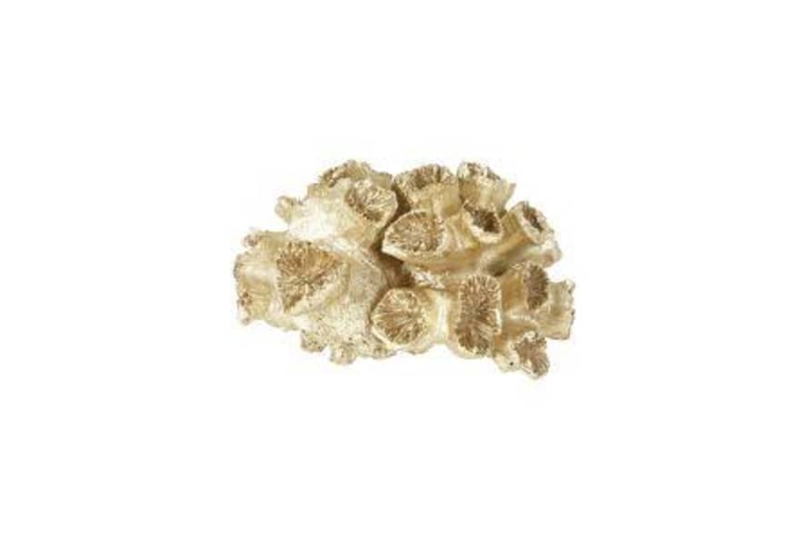 SPEEDTSBERG Gold Coral Elegant Decoration