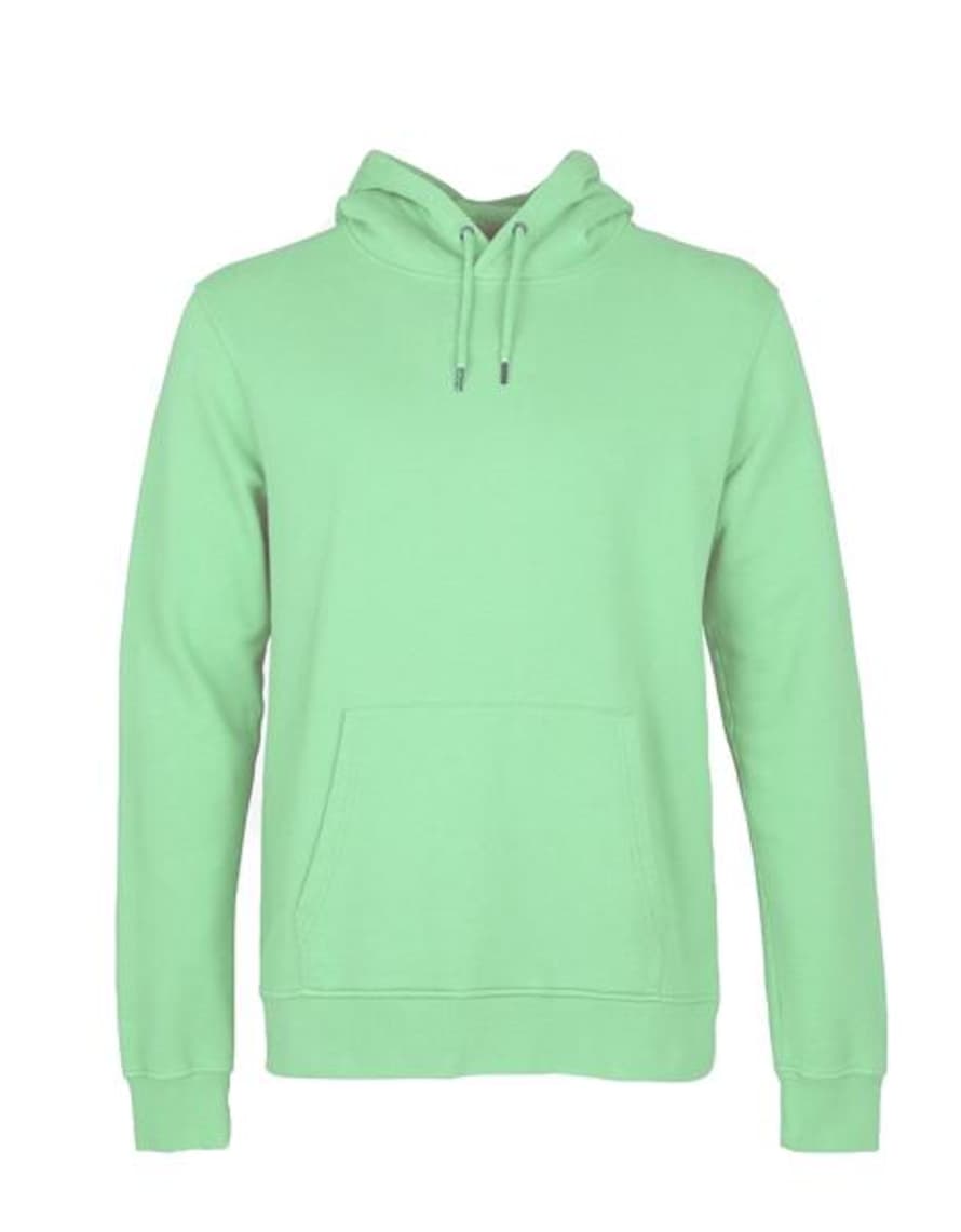 Colorful Standard Faded Mint Hood