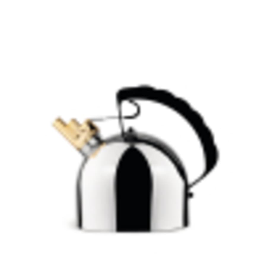 Alessi 16.5cm Steel Polished Stainless Kettle