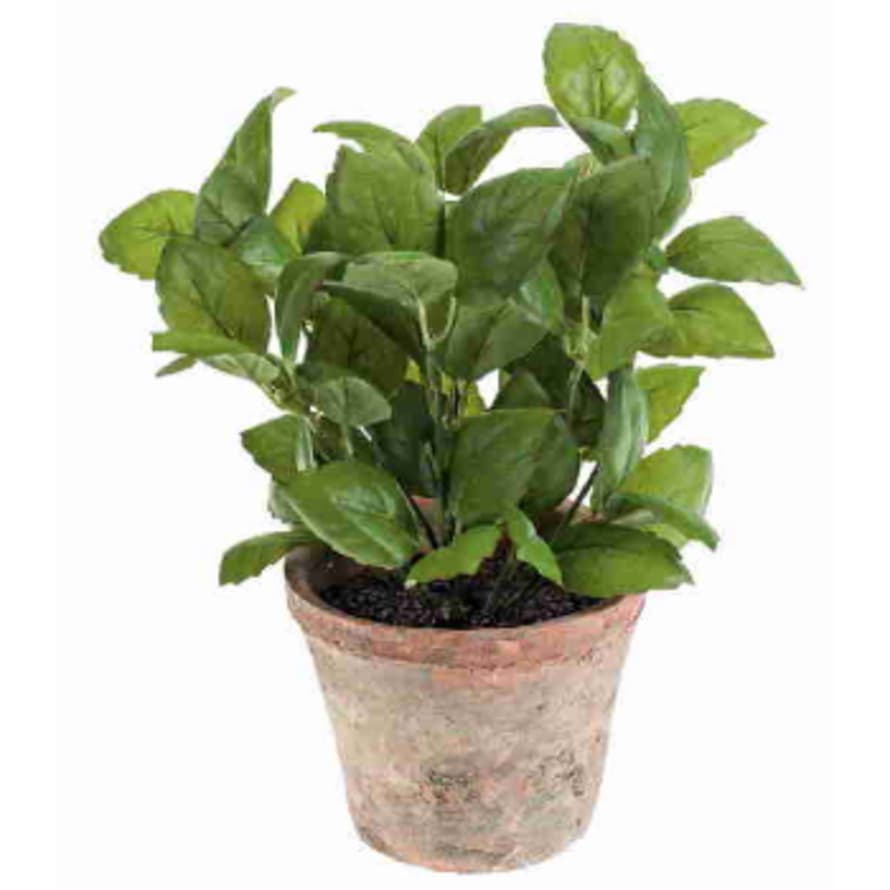 Dröm Collection Artificial plant12xh28cm with clay pot 