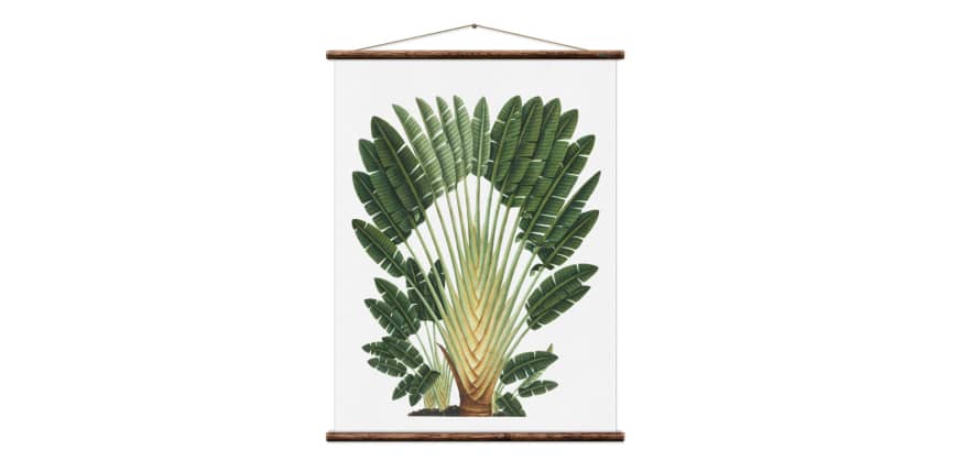 Erstwhile Travellers Palm Wall Hanging Print