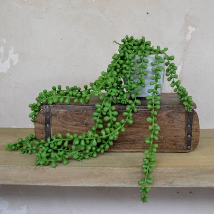 Gisela Graham Mini Hanging Concrete Pot with String of Pearls