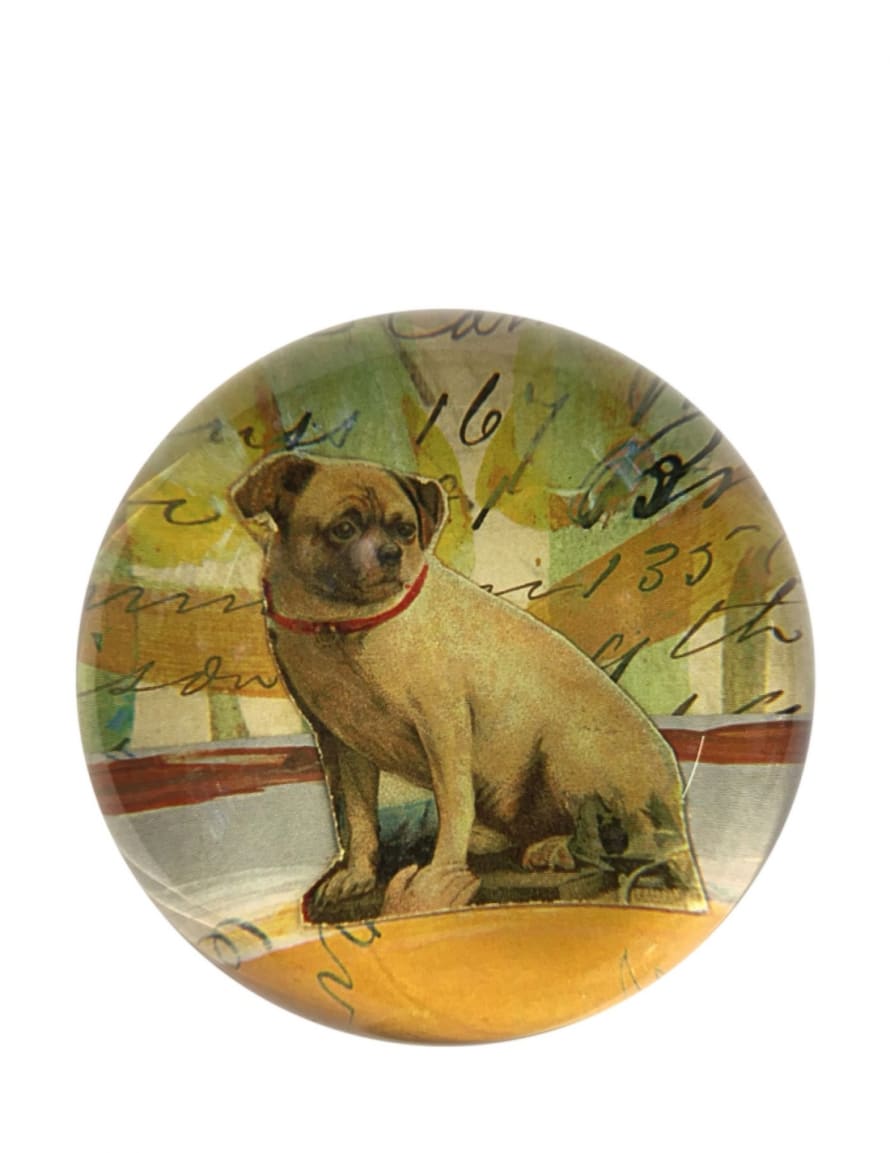 JOHN DERIAN Dome Pug Paperweight