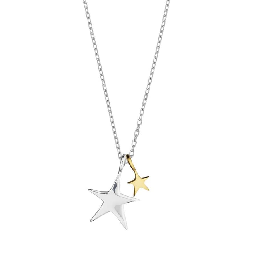 Estella Bartlett  Silver and Gold Double Star Necklace