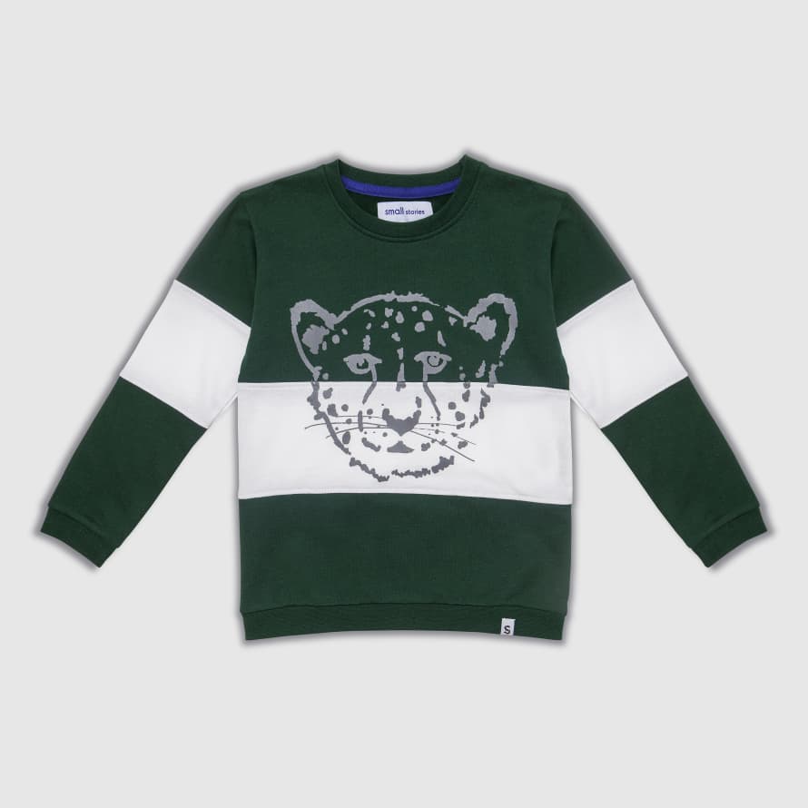 Small Stories Cheetah Block Kids Sweater Green & White