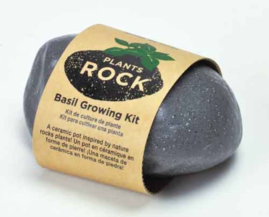 Noted Grow Basil at Home Kit - Plants Rock!