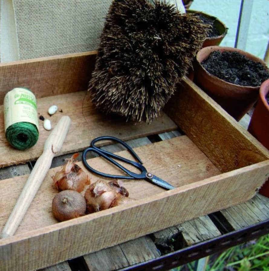 Nutscene Wooden Seed Trays