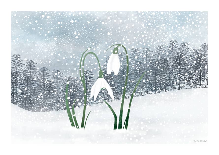 Ruth Thorp Studio A4 Snowdrops Art Print - Winter Gardens Series