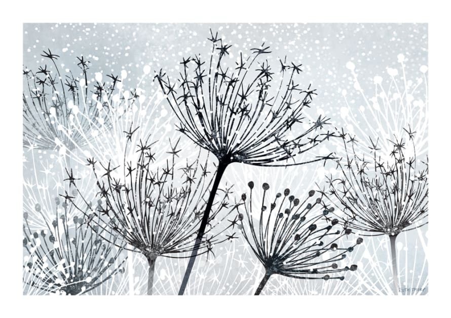Ruth Thorp Studio A4 Seedheads Art Print - Winter Garden Series