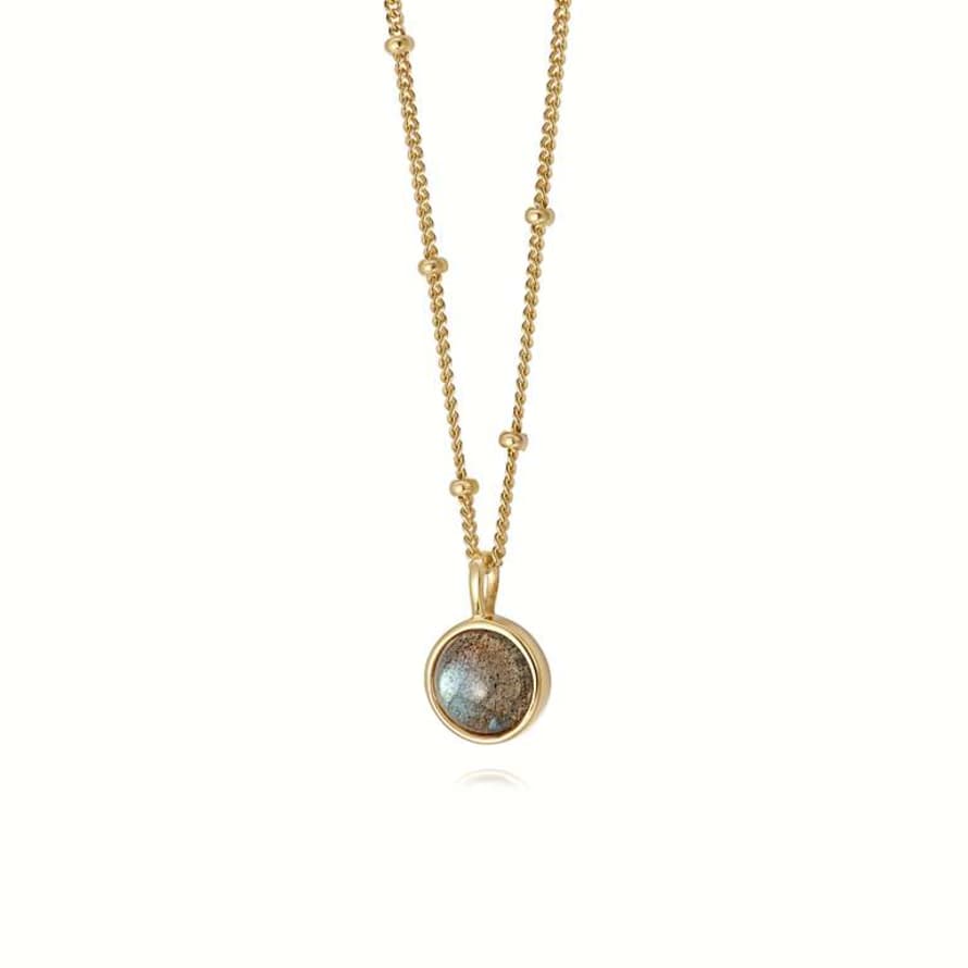 Daisy London Gold Labrodorite Healing Stone Necklace