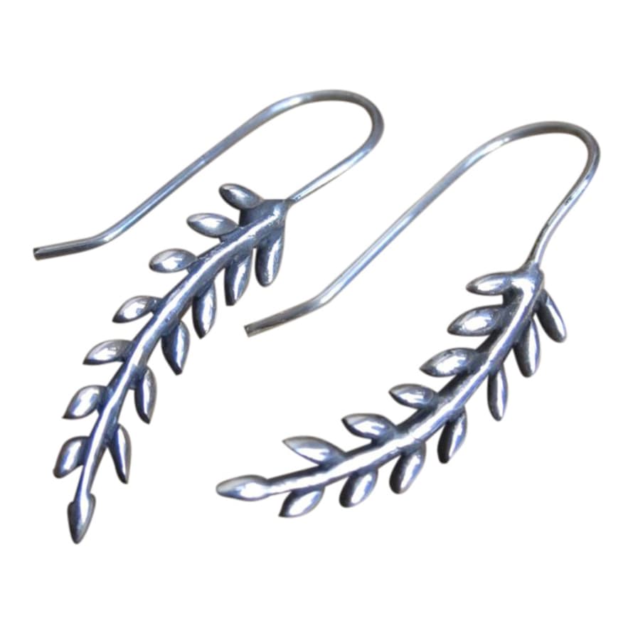 CollardManson Silver Leafy Drop Earrings