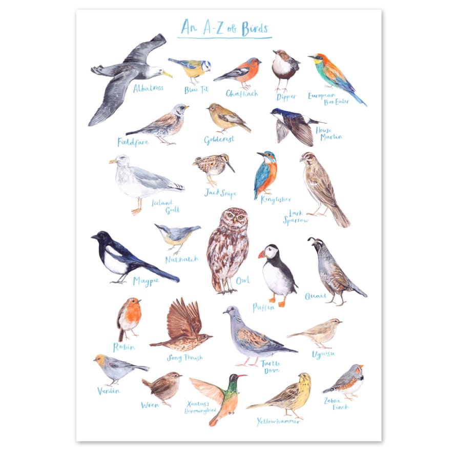 Fiona Purves A4 A To Z Of Birds Art Print