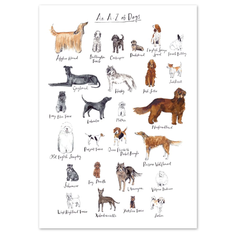 Fiona Purves A4 A to Z Of Dogs Art Print