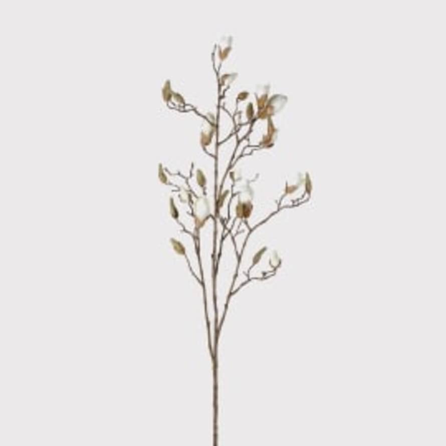 Or & Wonder Collection Magnolia Ivory Blossoming Branch