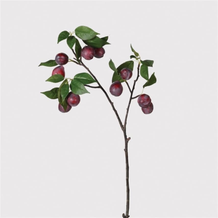 Or & Wonder Collection Plum Fruit Branch