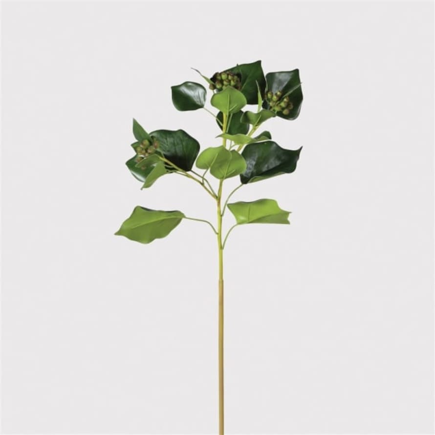 Or & Wonder Collection Ivy Leaf with Seed Heads