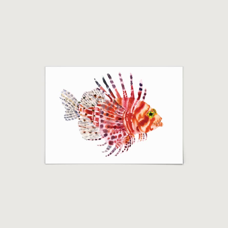 Rosie Webb  Lion Fish A4 Art Print