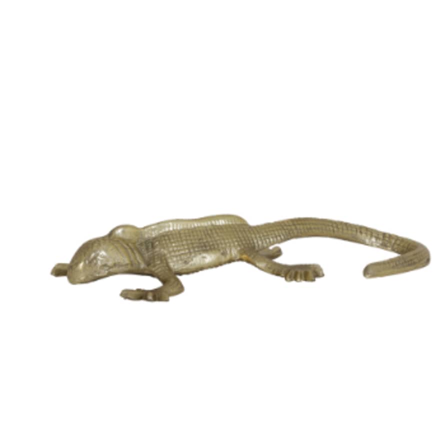 Or & Wonder Collection Bronze Antique Reptile