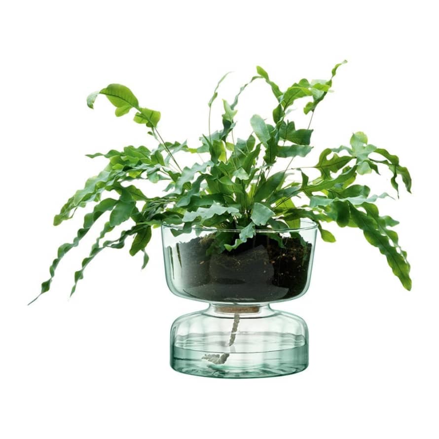 LSA International 22cm Canopy Self Watering Planter