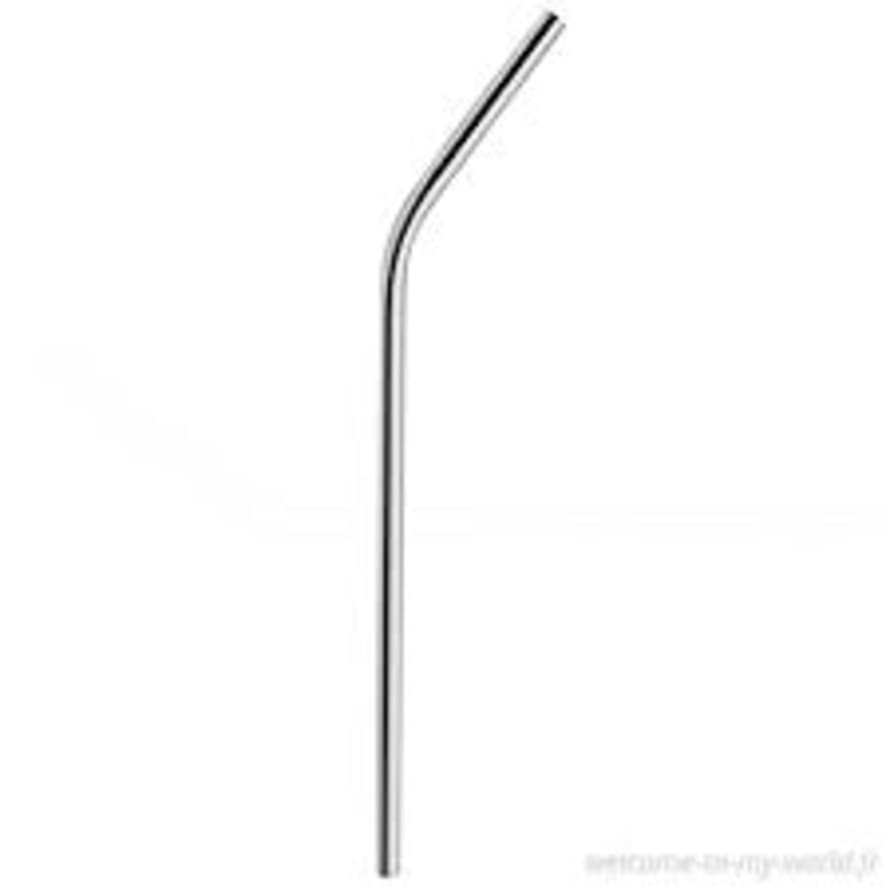 Stainless Steel Straw 