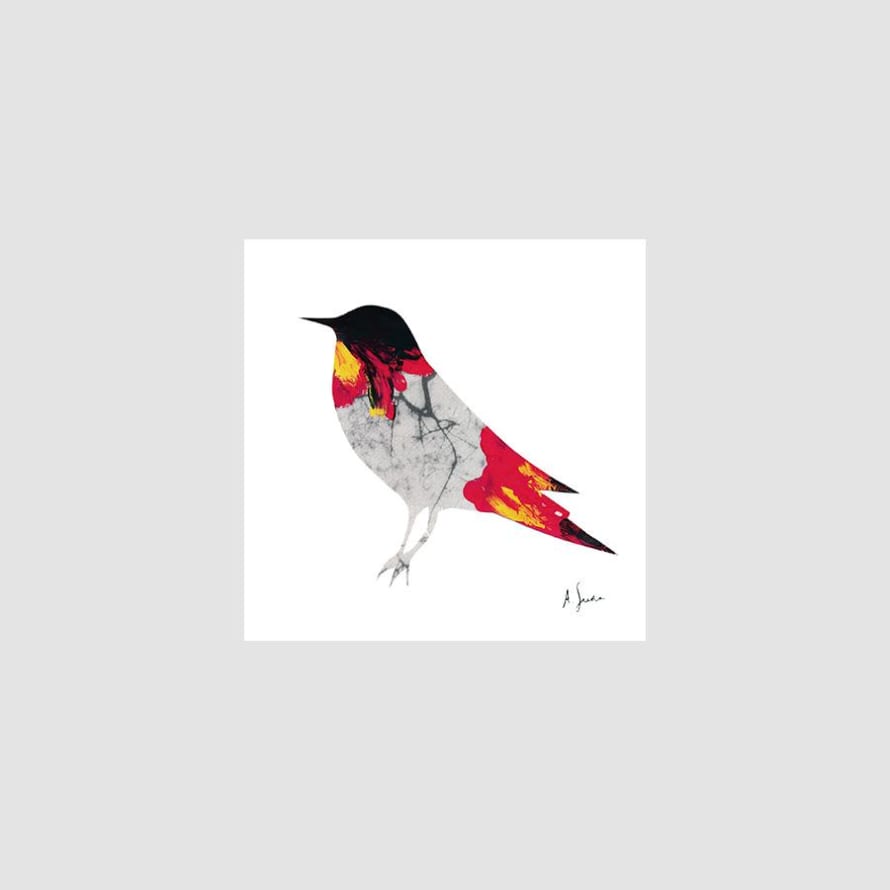 Adolfo Serra 15 x 15cm Digital Print Bird 2