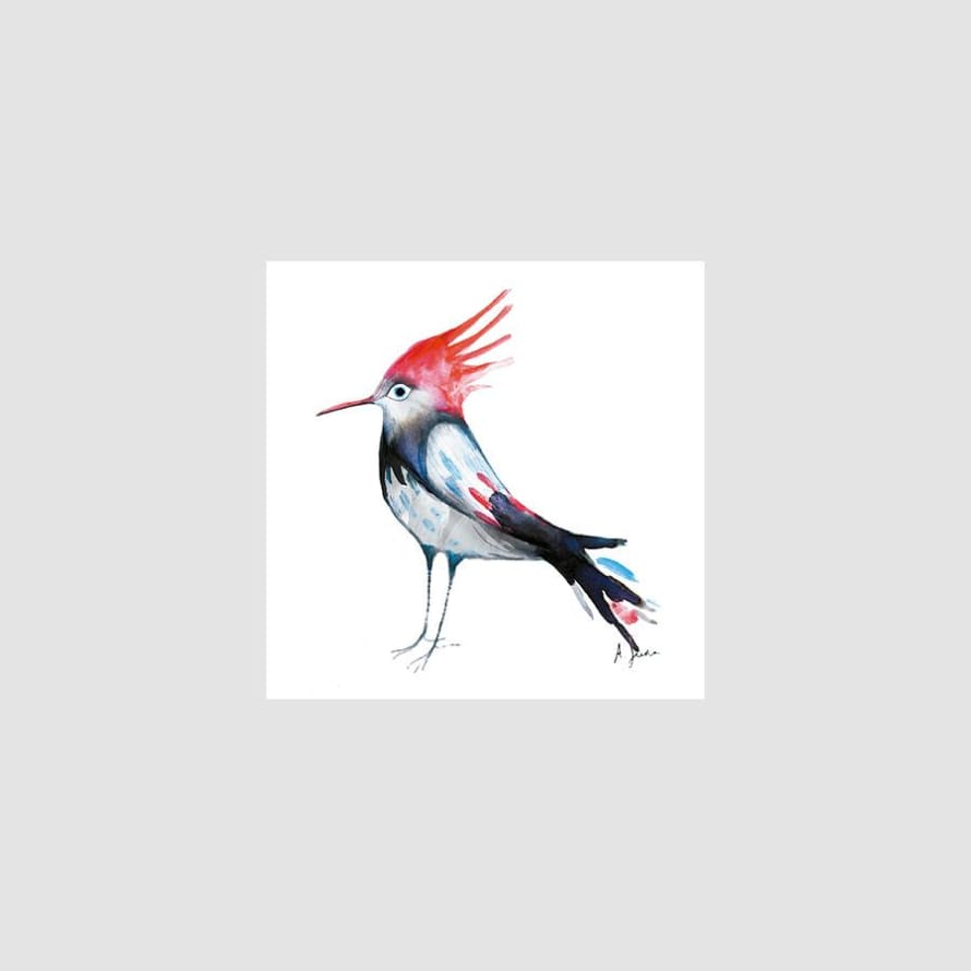 Adolfo Serra 15 x 15cm Digital Print Bird 5