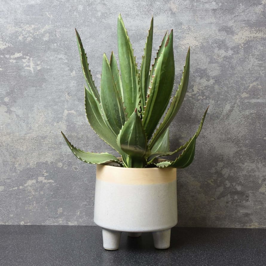 &Quirky Faux Aloe Vera In White Ceramic Pot