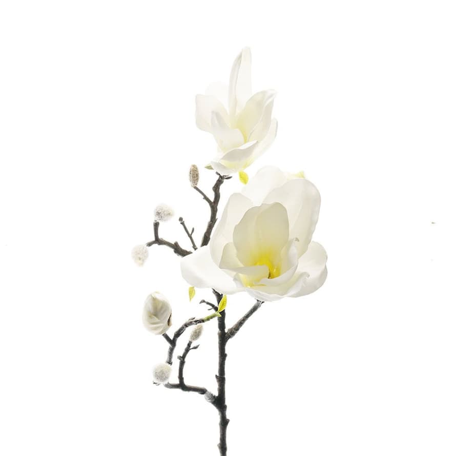 Grand Illusions White Magnolia Stem