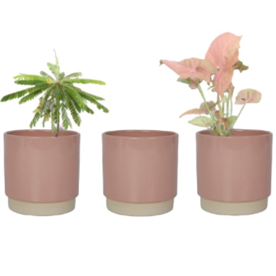 Rotterdam Interior Pastel Plant Pot - Set of 3