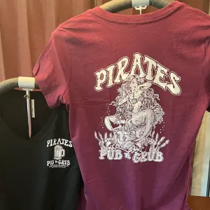 Ladies VNeck T-Shirt