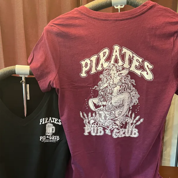Ladies VNeck T-Shirt
