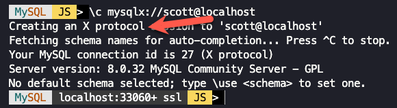 MySQL Shell Connected