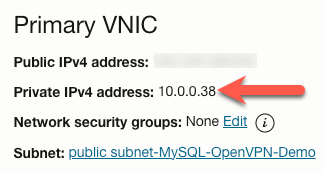 Primary VNIC Information