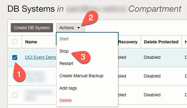 Stop DB System