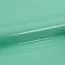 Mint A0068 