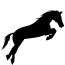 Hest 