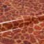 WILD-GIRAFFE EPWGIR 