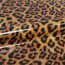 WILD-LEOPARD EPWLEO 