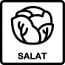 Salat 