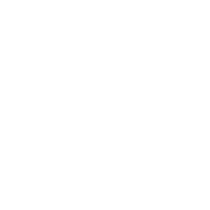 ud-company ud-company