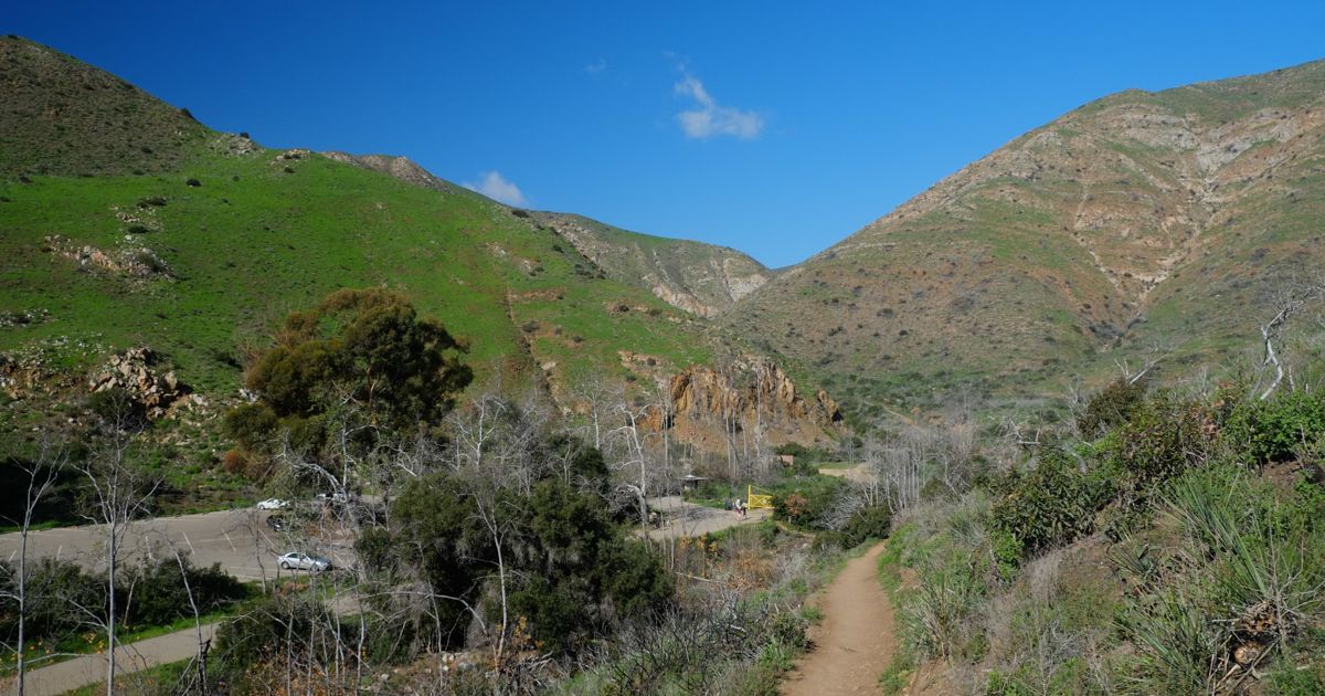 Ray Miller Trail Trail Coffee