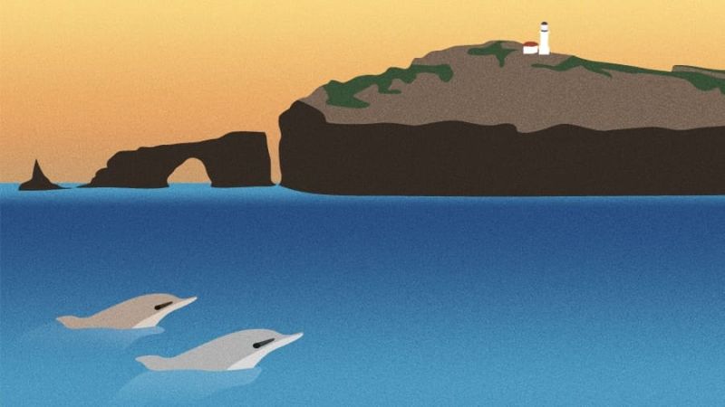 Illustration of Channel Islands National Park