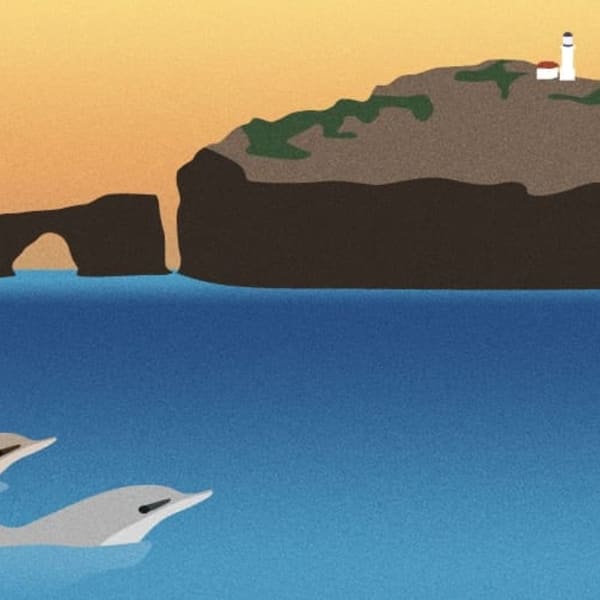 Illustration of Channel Islands National Park