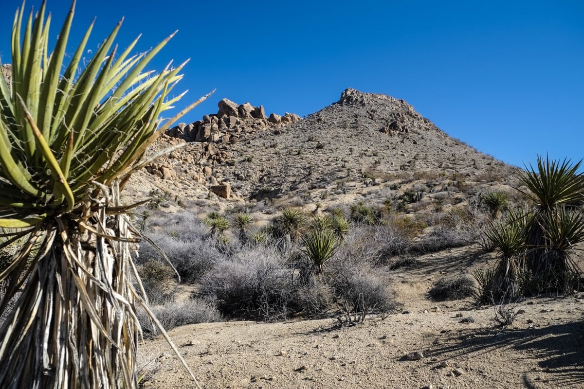 Leading up to the peak